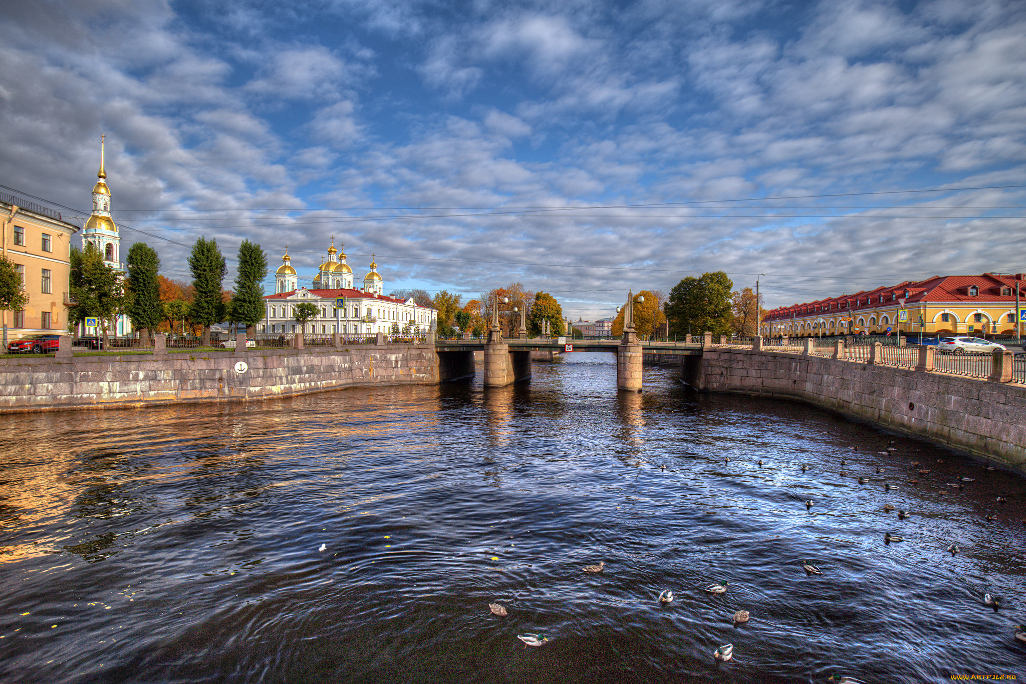 sankt petersburg, , -,   , , 